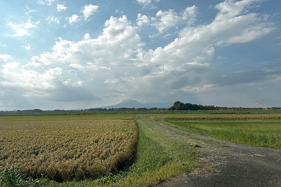 I ♡ 都城